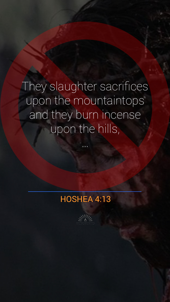 Hosea Chapter 4 Daily Holy Bible Reading