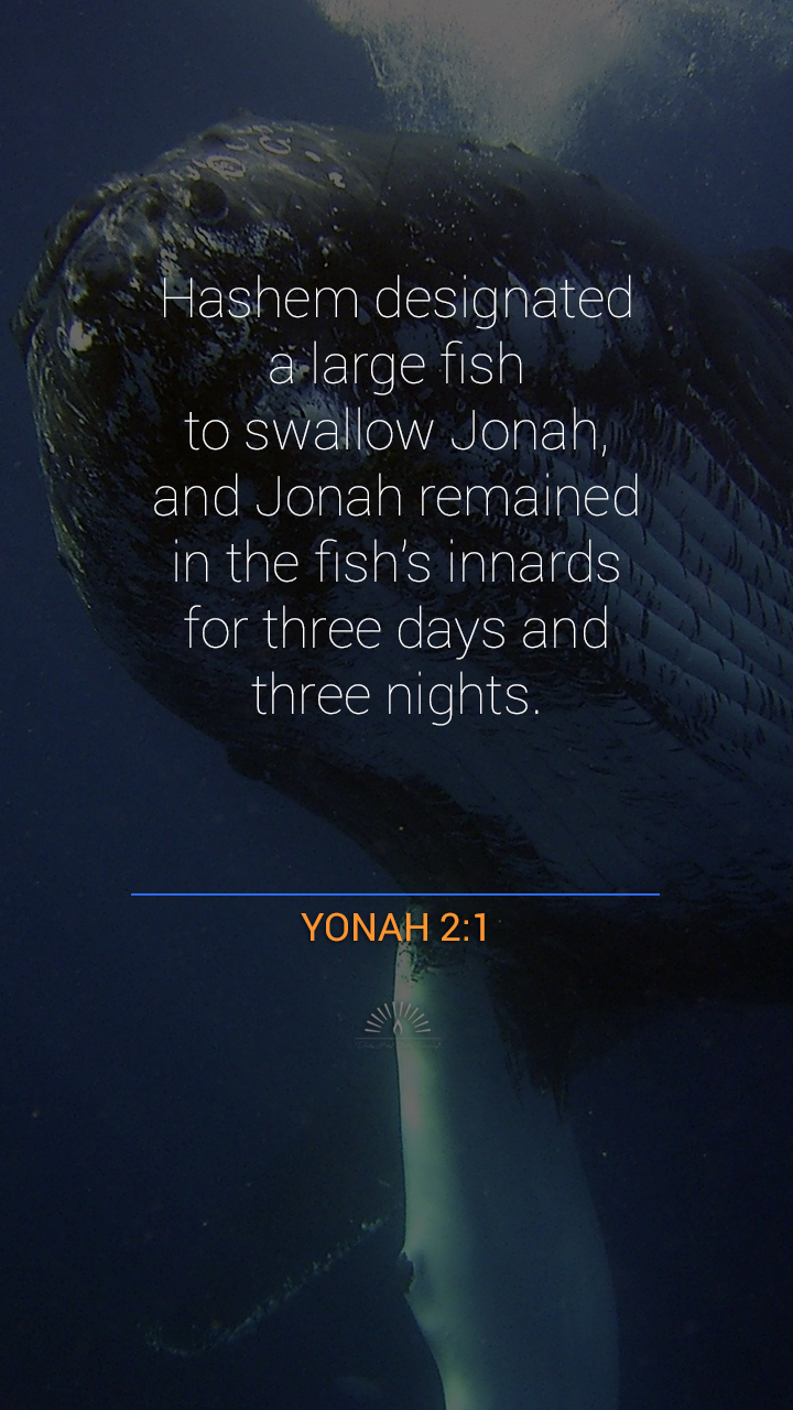 Jonah chapter 2 daily holy bible reading