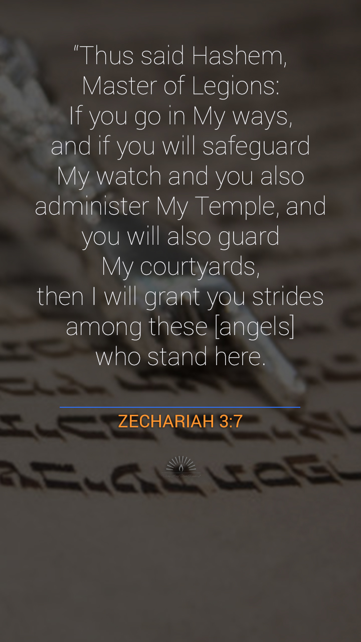 Zechariah Chapter 3 Daily Holy Bible Reading